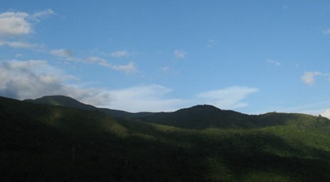 鹦哥岭自然保护区海拔高生态类型丰富