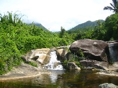 海南中部打造中国唯一热带雨林国家公园